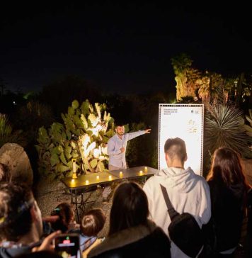 Jardín Botánico UTalca celebró 20 años con masiva visita nocturna Jardín Botánico UTalca celebró 20 años con masiva visita nocturna