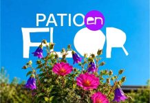 Octubre en Patio Bellavista trae lectura con autor, feria de música chilena con firma de autores, arte visual y un fin de semana para los amantes de las flores y las plantas