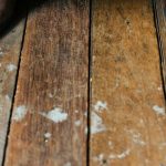 Pisos con barro y humedad: ¿Cómo mantener la limpieza doméstica mientras llueve? ¿Cómo mantener la limpieza doméstica mientras llueve