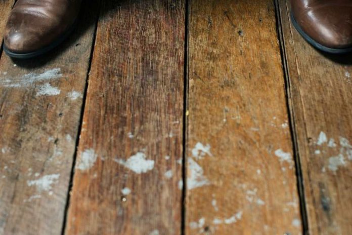 ¿Cómo mantener la limpieza doméstica mientras llueve ¿Cómo mantener la limpieza doméstica mientras llueve